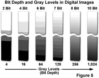 (profundidade de cor): VGA (Video Graphics Array): 2 4 bits = 16 cores/pixel SVGA (super VGA): 2 8 bits = 256 cores/pixel Grayscale: 2 8 bits = 256 cores/pixel