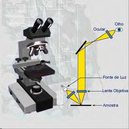 Análise de metais/ligas: Microscópio ótico de luz transmitida: tipicamente usado