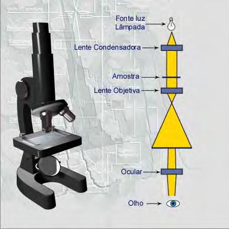 Microscópio de reflexão (Séc.