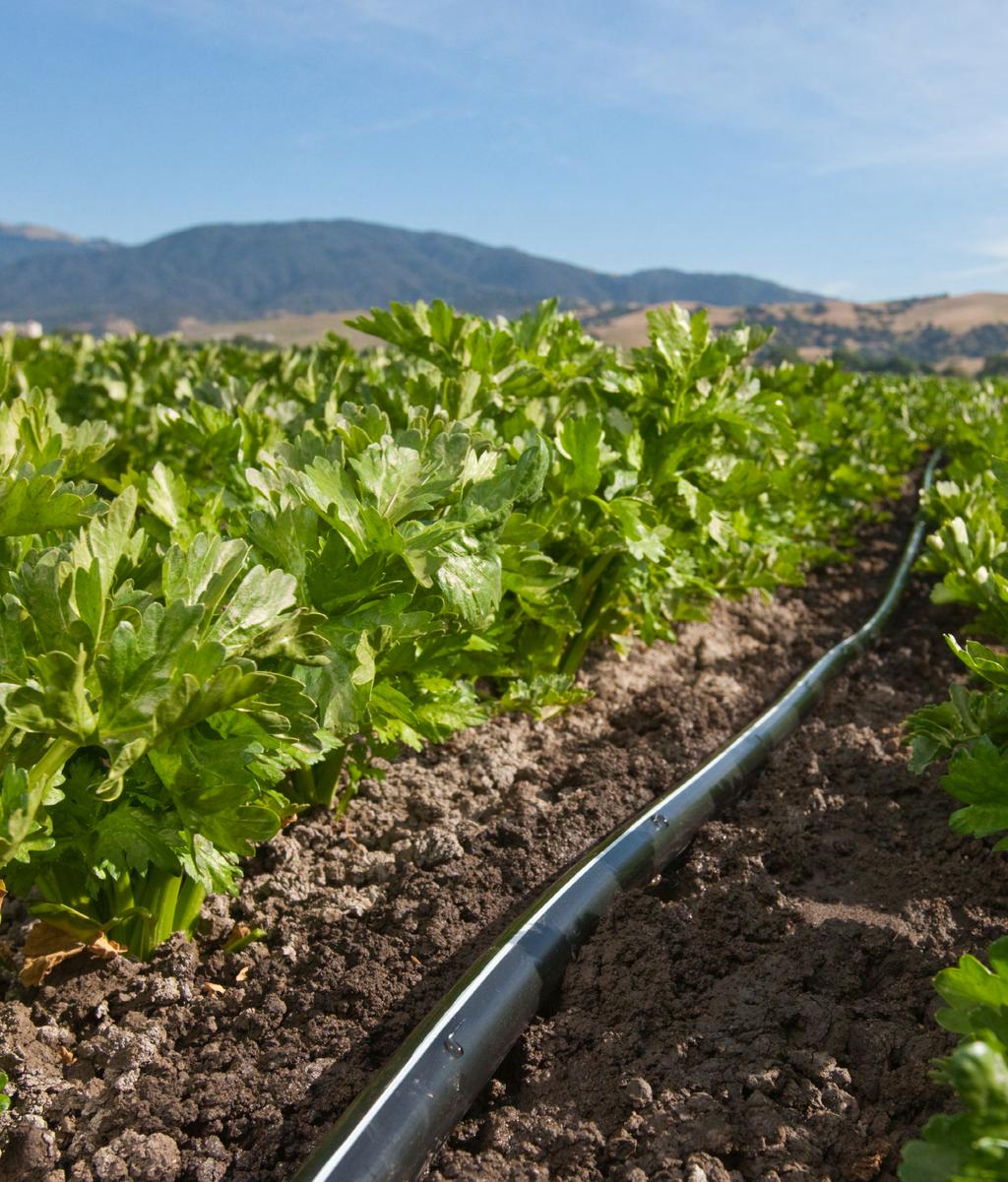 Catálogo de Produtos Rivulis Plastro Irrigação Produtos e