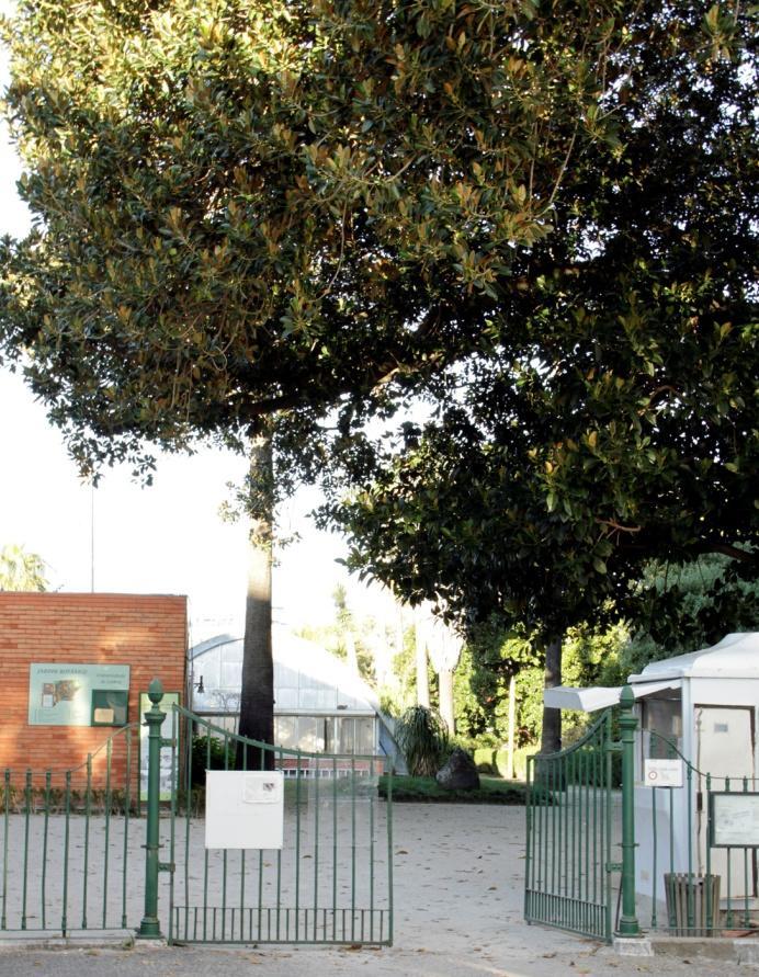 No Jardim Botânico e na exposição Coleções de Naturalista no edifício do museu, podem ser encontradas espécies