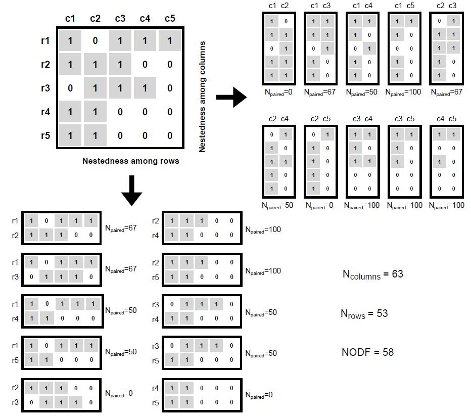 Aninhamento NODF DF = Decreasing Fill PO = Paired Overlap Para linhas: se: S abaixo S acima DF = 0 se não DF = 100 PO = no.