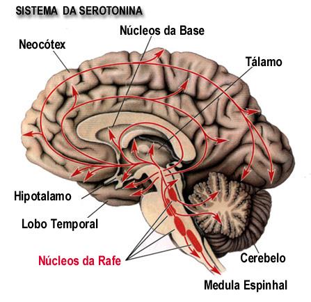 Sistema de Modulação Difuso A frequência de disparo de potencias diminui durante