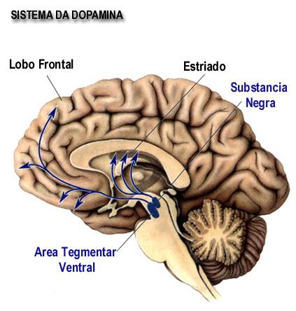 Sistema de