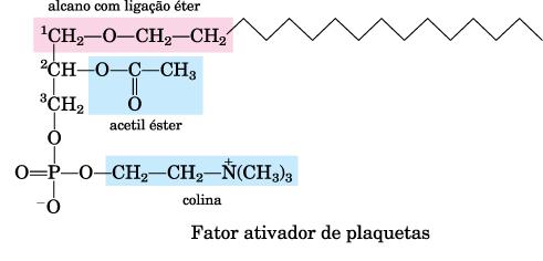 - Glicerofosfolipídeos - Plasmalogênio O substituinte C1 do glicerol está ligado por meio de uma ligação éter α,β