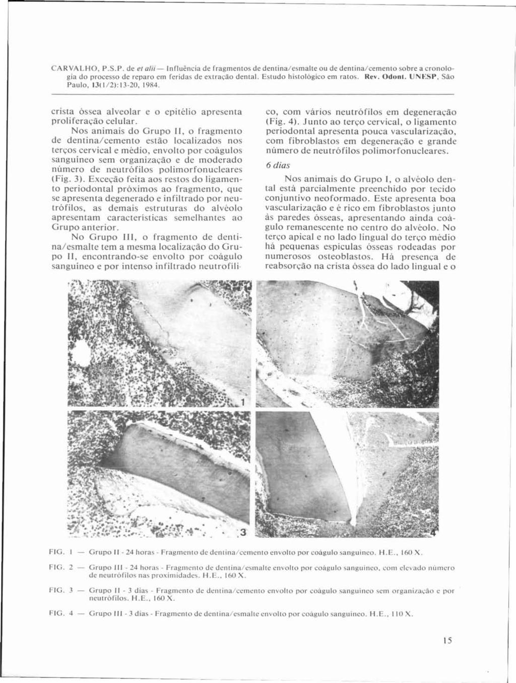 CARVALHO, P.S.P. de el alii- Influência de fragmentos de dentina/esmalte ou de dentina/cemento sobre a cronolo gia do processo de reparo em feridas de extração dental. Estudo histológico em ratos.