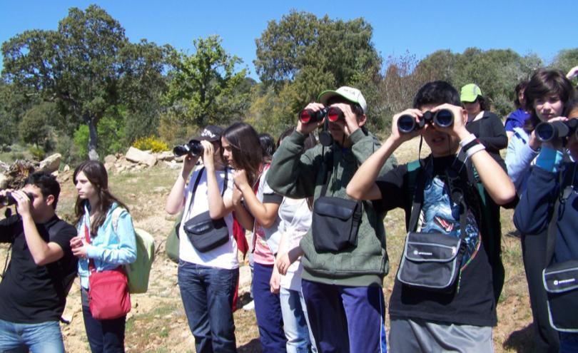 Acções de educação e