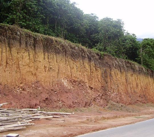 Solo, Meio Ambiente e Desertificação Parte da paisagem que da suporte as plantas Formado pelo intemperismo