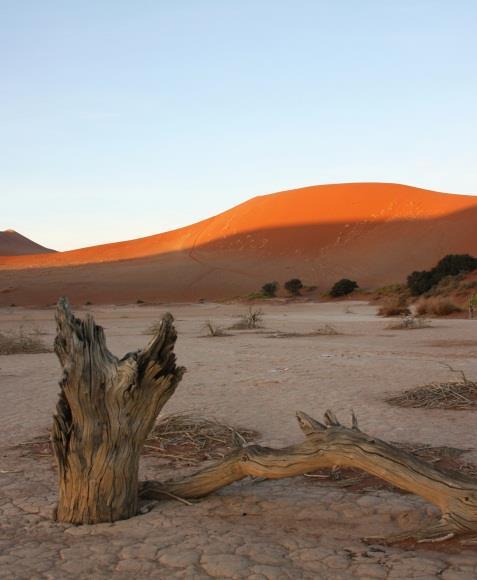 Desertificação e Arenização Desertificação: Estágio mais avançado de degradação ambiental; Características: Diminuição da atividade