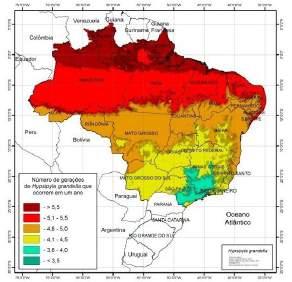 Novos cenários das gerações que ocorrem em um ano de Hypsipyla grandella