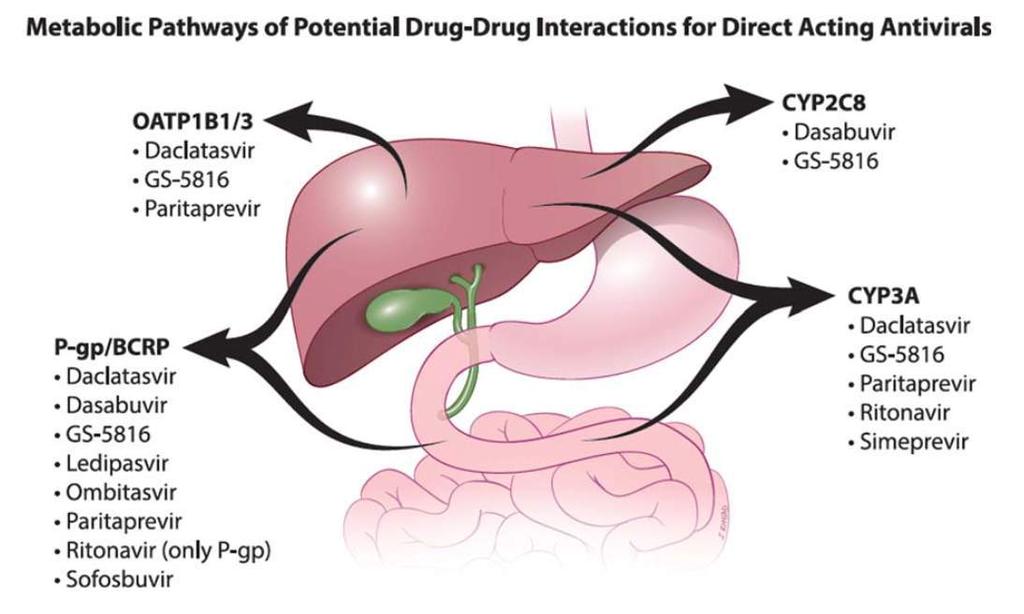 Interações Medicamentosas DICK ET