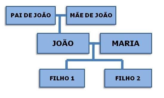 João é servidor público. Os pais de João são seus parentes de primeiro graus. Os filhos de João também são seus parentes de primeiro grau.