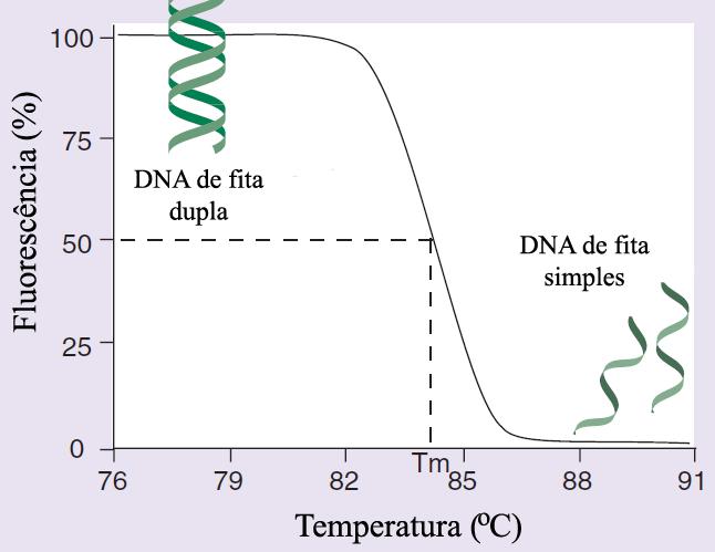 1.2.1. Análise de dissociação em alta resolução (HRM) A análise de dissociação em alta resolução (High Resolution Melting analysis HRM) é um método utilizado para detectar alterações na sequência do DNA.
