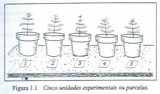 Conceitos fundamentais