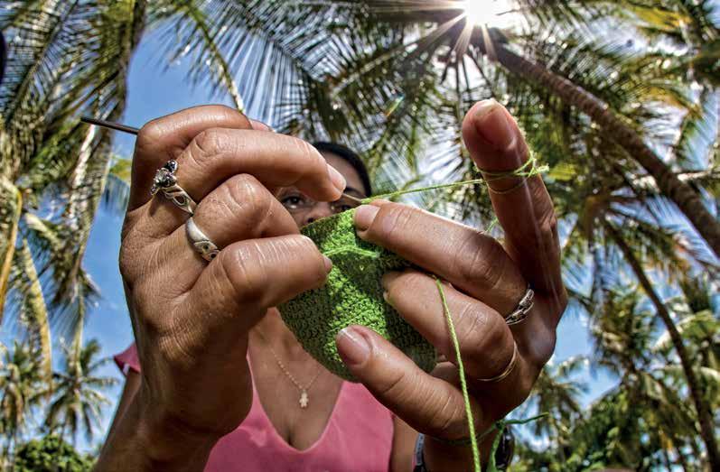 A reprodução vivia sob ameaça constante. Uma das maiores iguarias da época era o ovo de tartaruga, grande colaborador da economia caiçara.