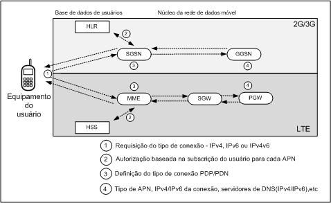 O tipo de conexão que será utilizado para cada portadora e para cada usuário depende de diversos fatores.