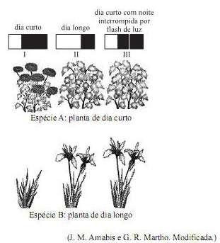 a) Qual é o nome da resposta fisiológica para as variações dos períodos de claro e escuro? Em condições naturais, em quais estações do ano as plantas de dia curto e as plantas de dia longo florescem?