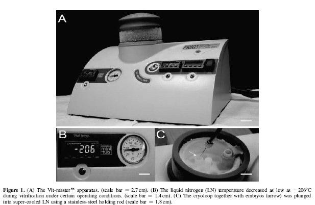 observaram maior viabilidade com as grades de microscopia eletrônica que, no entanto, não foram influenciados pelo emprego de N 2 líquido normal ou super-resfriado.