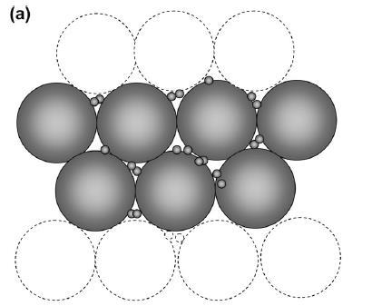 Revestimentos funcionais com nanopartículas ou nanaestruturados superfícies autolimpantes, bacrericidas,