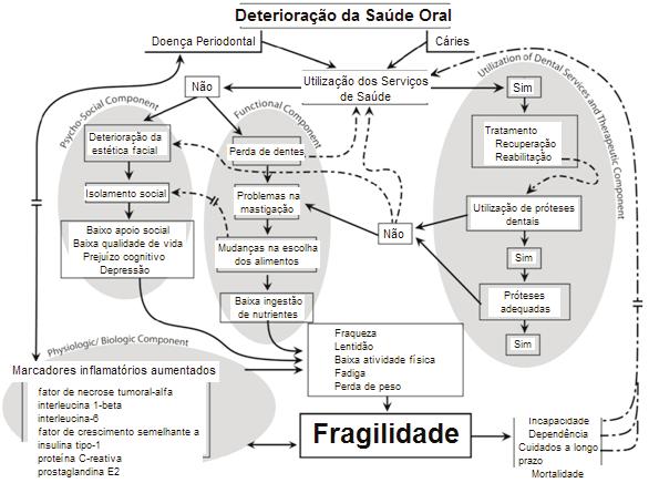 Figura 1: Modelo proposto sobre a relação entre a saúde oral e a fragilidade (adaptado de Castrejón-Pérez et al 4 ).