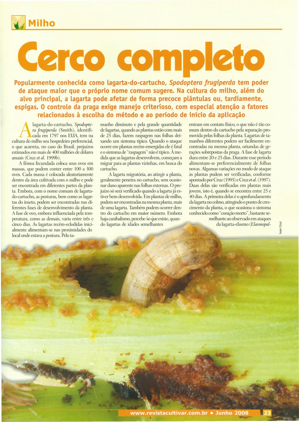 Milho Cerco compl Popularmente conhecida como lagarta-do-cartucho, Spodoptera frugiperda tem poder de ataque maior que o próprio nome comum sugere.