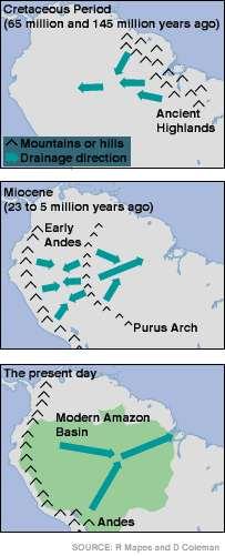 Venezuela) Complexo de lagos rasos e pântanos sistema Pebas Mioceno médio soerguimento dos Andes intensifica