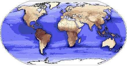 Como explicar a alta biodiversidade