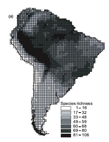 Diversidade de Mamíferos na América do Sul Não