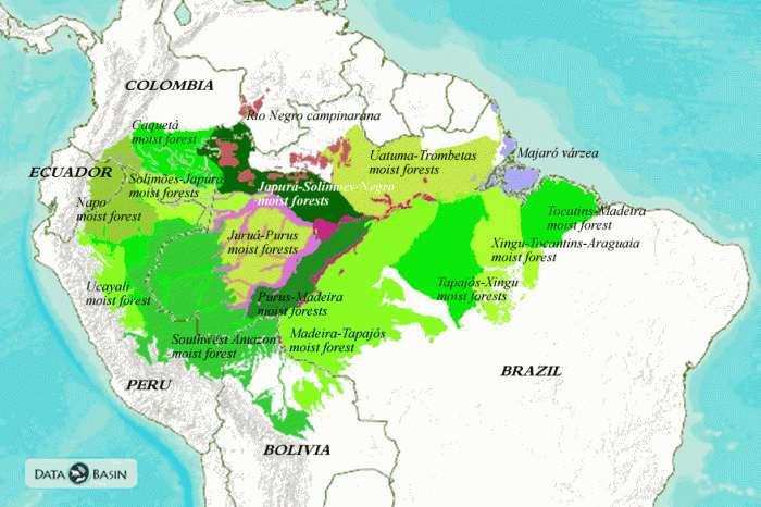 Sudoeste da Amazônia brasileira o Uma das regiões mais