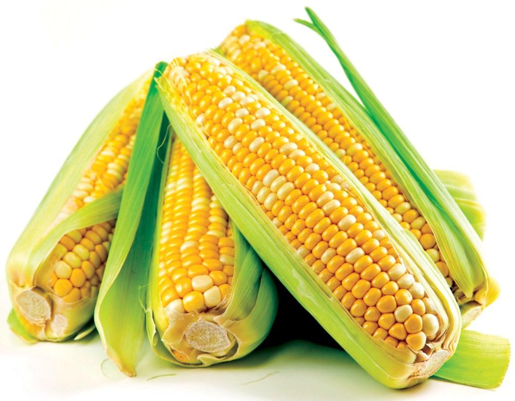 9 Junho - MILHO O preço médio do milho permaneceu em alta, apresentando em Junho um aumento de 4.0% em relação à média do mês anterior. A nível de variedades, regista-se aumento de 5.