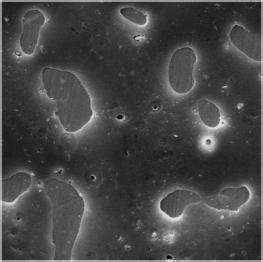 A B Figura 19 - A) Fotomicrografia em MEV (1000x); B) Imagem 3D gerada