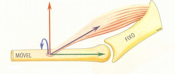 Nomenclatura