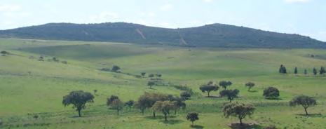 Para que no futuro seja possível aos agricultores, enquanto prestadores de serviços ambientais, atingirem metas mais ambiciosas e exigentes do