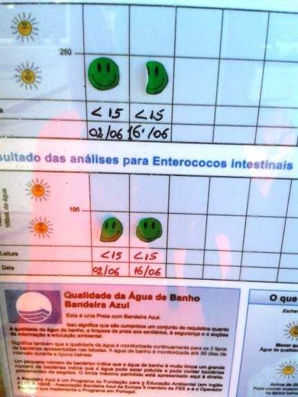 36% - Verifica-se a existência de pisoteio da duna/vegetação natural fora dos acessos (verificado a 9 de agosto) - Verifica-se a existência de pisoteio da duna/vegetação natural fora dos acessos