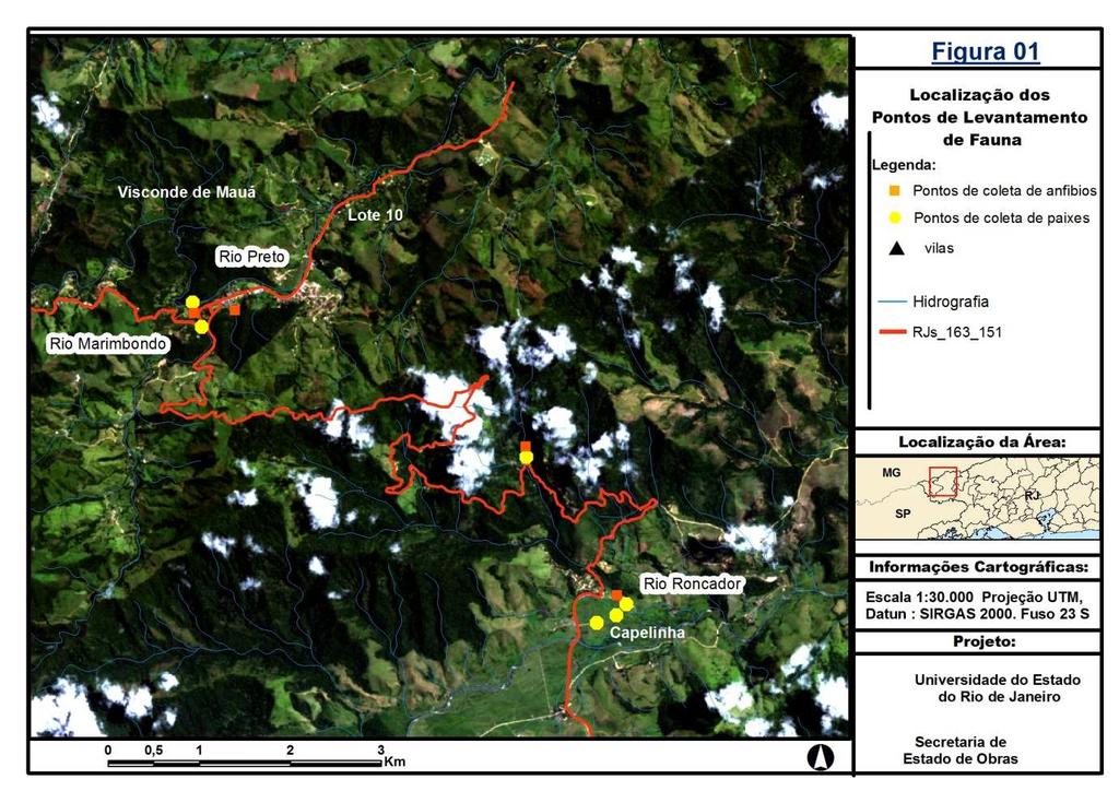 4.2- PROGRAMA DE MONITORAMENTO AMBIENTAL 4.2.1 Programa de Monitoramento de Fauna O Programa de Monitoramento da Fauna tem como objetivo maximizar o conhecimento sobre as alterações nas populações e