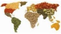Semana de 16 e 20 de outubro de 2017 Segunda Dia Mundial da Alimentação - Valor energético, - Lípidos, - Ácidos Gordos Saturados, - Hidratos de Carbono, - Proteínas Todos os pratos apresentados são