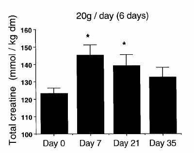 Protocolo de suplementação Fase de sobrecarga: 0,3 g.kg -1 durante 5-7 dias Fase de manutenção: 0,03 g.kg -1 Hultman E et al.