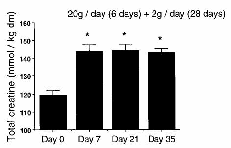 RISCO: captação muscular com o prolongamento do período de suplementação Brault et al. J Appl Physiol 2003;94: 2173 2180.