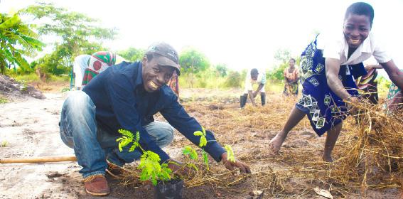 000 pequenos agricultores e suas famílias nos distritos seleccionados, através da criação de Clubes de Agricultores e treinamento dos seus membros em práticas agrícolas sustentáveis entre outras