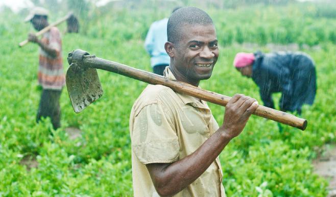 3 Clubes de Agricultores mudam hábitos alimentares das comunidades Apesar dos esforços do Governo no sentido de reverter o cenário, a prevalência de desnutrição, especialmente a desnutrição infantil,