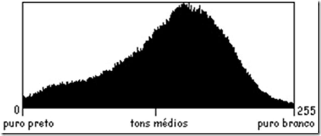 As partes mais escuras fazem o gráfico ficar concentrado na esquerda, enquanto que uma imagem com iluminação balanceada apresenta um gráfico distribuído.