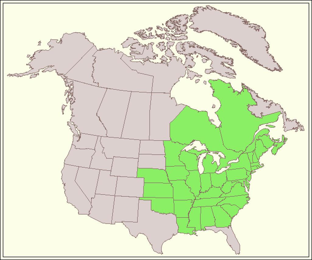 A Figura 3 apresenta a distribuição natural dessa espécie. Figura 3. Distribuição geográfica natural para a espécie de Quercus rubra L.