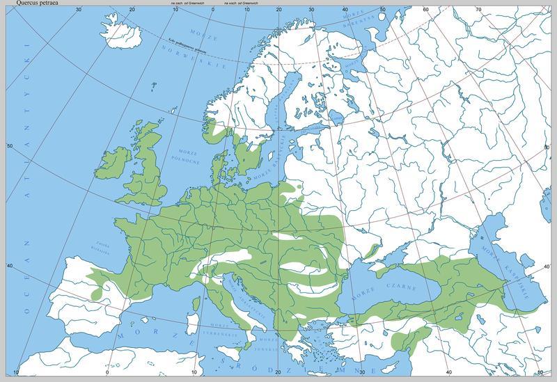 Figura 5. Distribuição geográfica natural para a espécie de Quercus sessiliflora Salisb. na Europa: Grã-Bretanha, do sul da Noruega à leste da Espanha, Rússia e Grécia (Fonte: http://commons.
