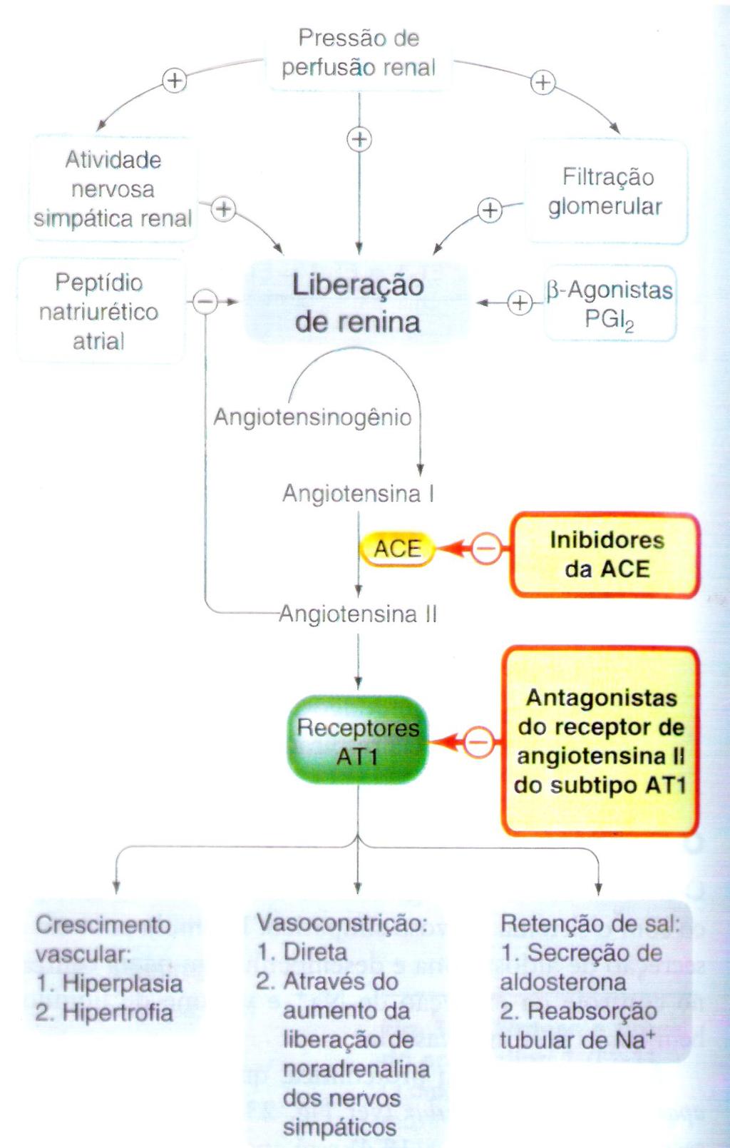 Ações da