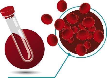 foram diagnosticadas Após o diagnóstico é importante que: Seja oferecido um aconselhamento pósteste Seja encaminhado e vinculado a um serviço de saúde