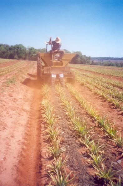 Distribuição de adubo orgânico em sistemas de plantio em linhas duplas e triplas, Bauru (SP).