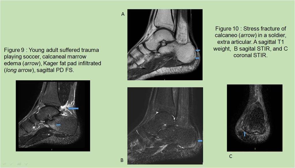 Fig. 6: