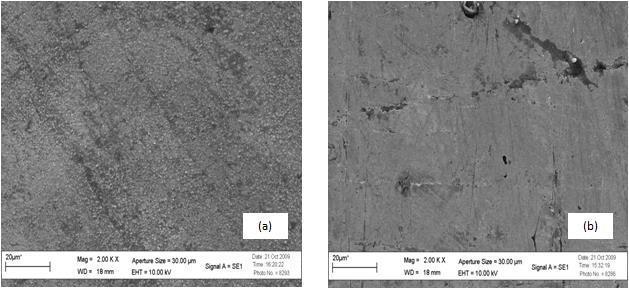 espessuras de 40, 80 e 10 nm e três com depósito de paládio nas mesmas espessuras.