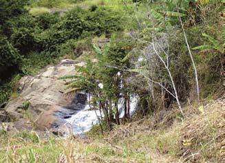 situação e ambiência A fazenda está localizada no distrito de Três Saltos,