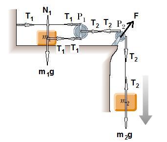 (b) Quando a massa m 2 se desloca de um comprimento L a massa m 1 se desloca de um comprimento 2L portanto a 1 = 2a 2, logo (c) a 1 a 2 = 2 Vamos primeiramente escrever as equações de movimentos para